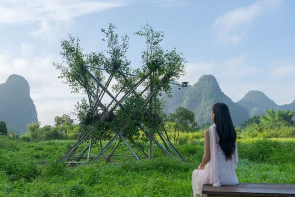 The Hyperboloid Banyan: A Living Tree Sculpture Inspiring Future Architecture